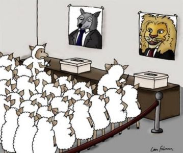 Sheep-On-Voting-For-a-Lion-Or-a-Wolf-On-Election-Day